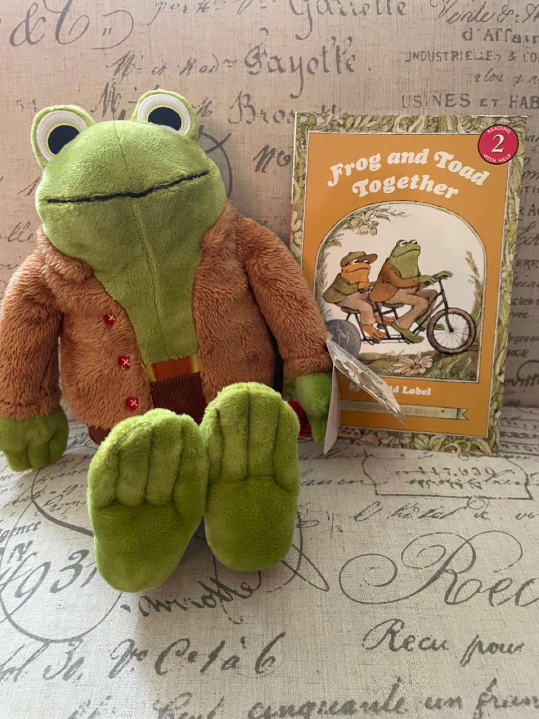 Frog and Toad Stuffy and Book thumbnail