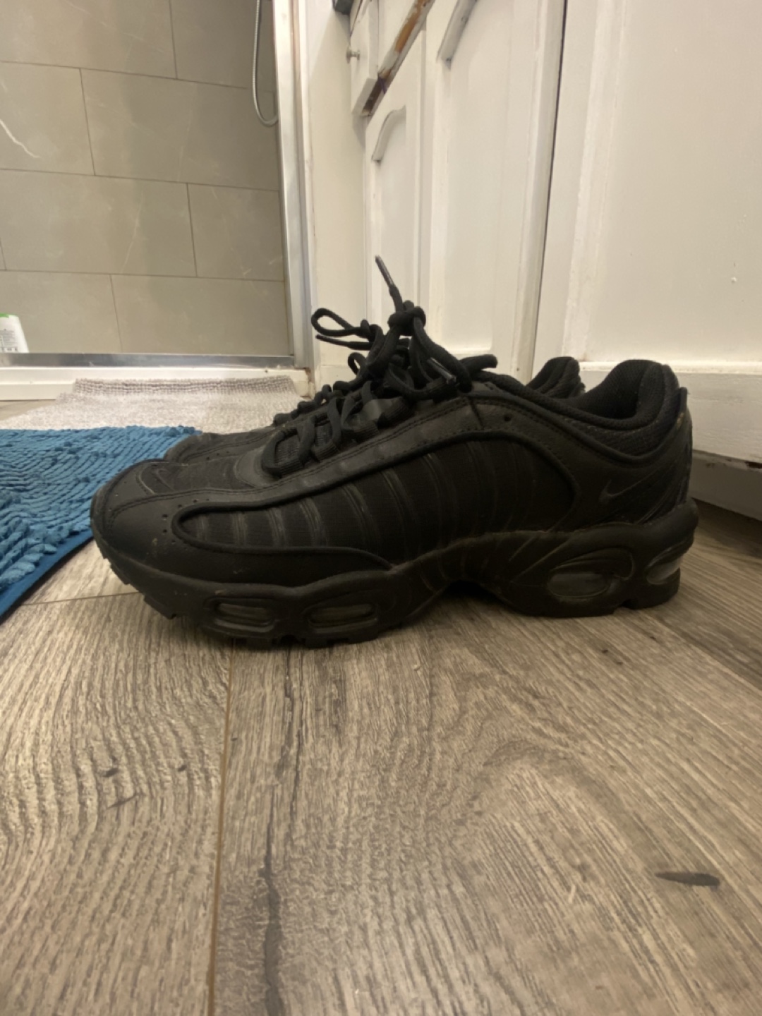 Nike Air Max Shoes