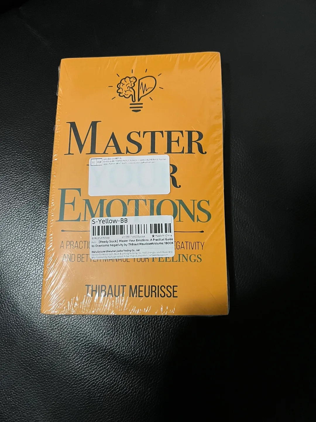 Master Your Emotions thumbnail