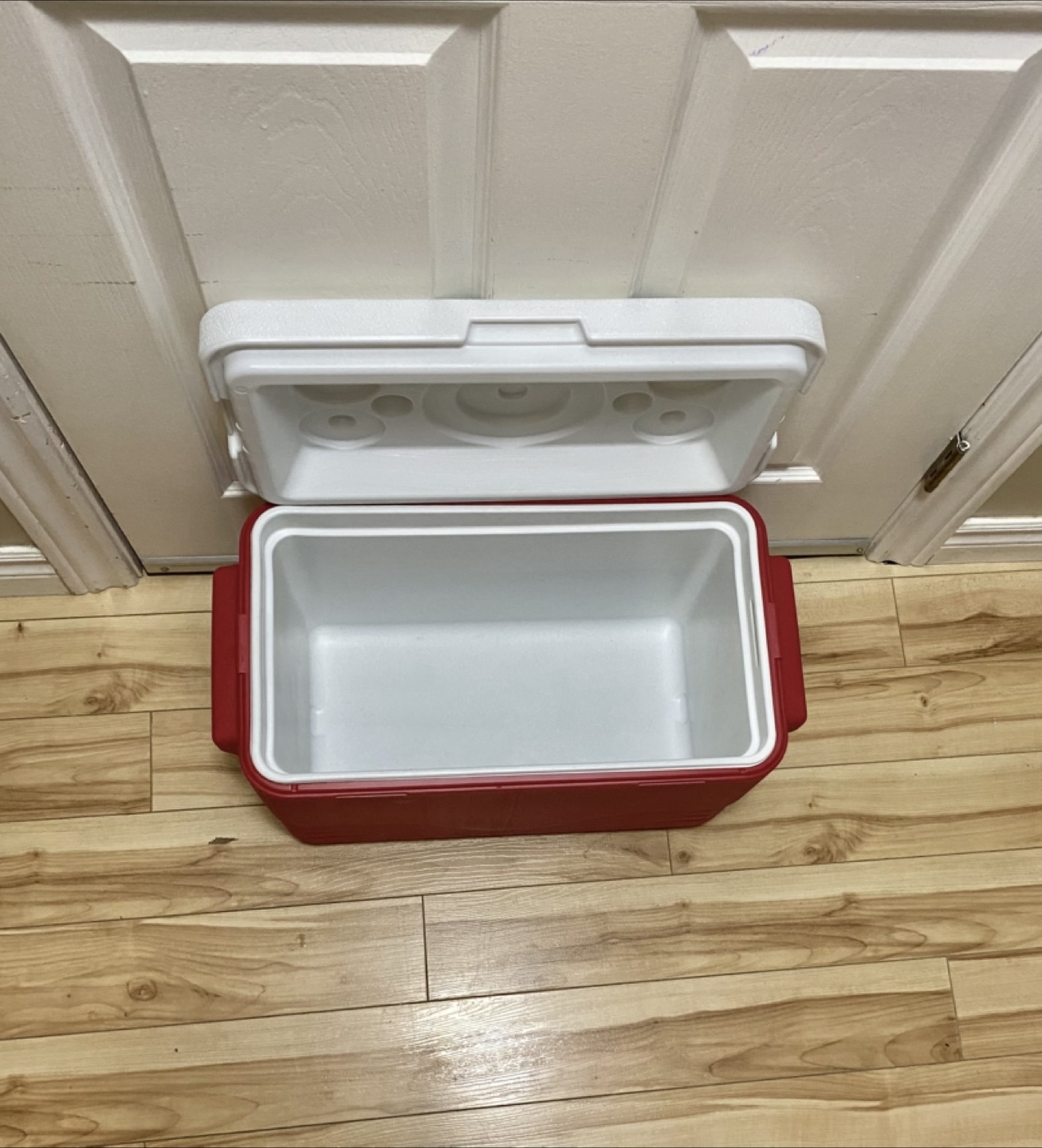 Medium Coleman Cooler - photo 2