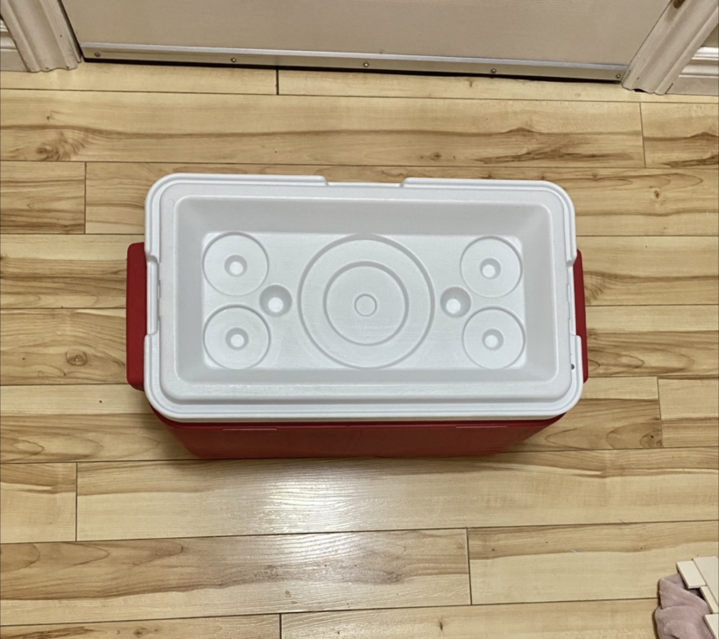 Medium Coleman Cooler - photo 3