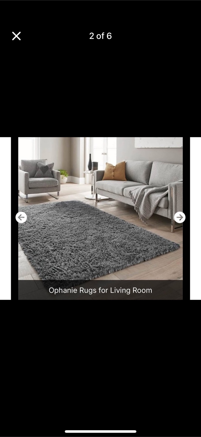 Ophanie Shag Rug- Moving out Sale - photo 3