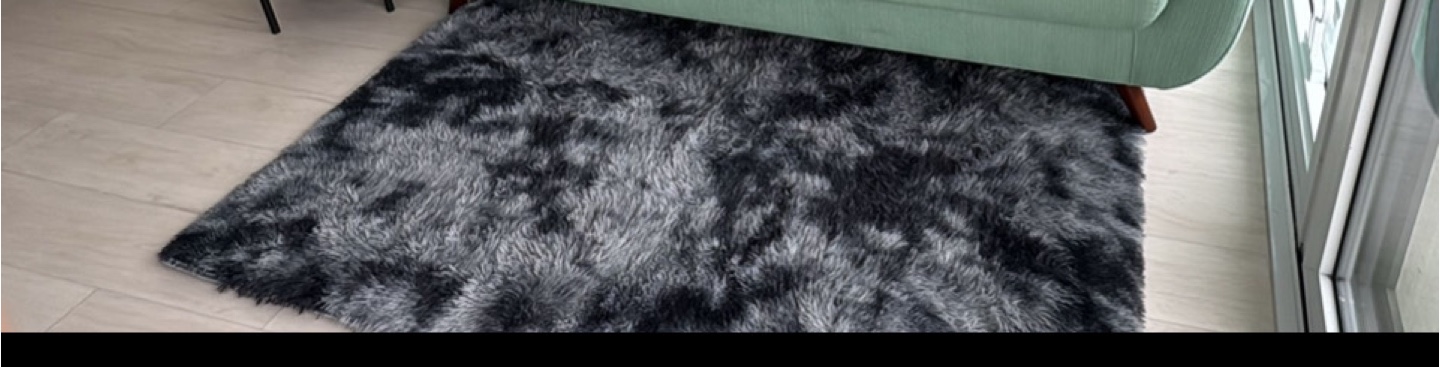 Ophanie Shag Rug- Moving out Sale