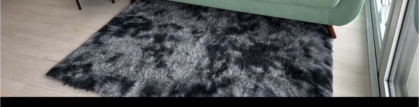 Ophanie Shag Rug- Moving out Sale thumbnail