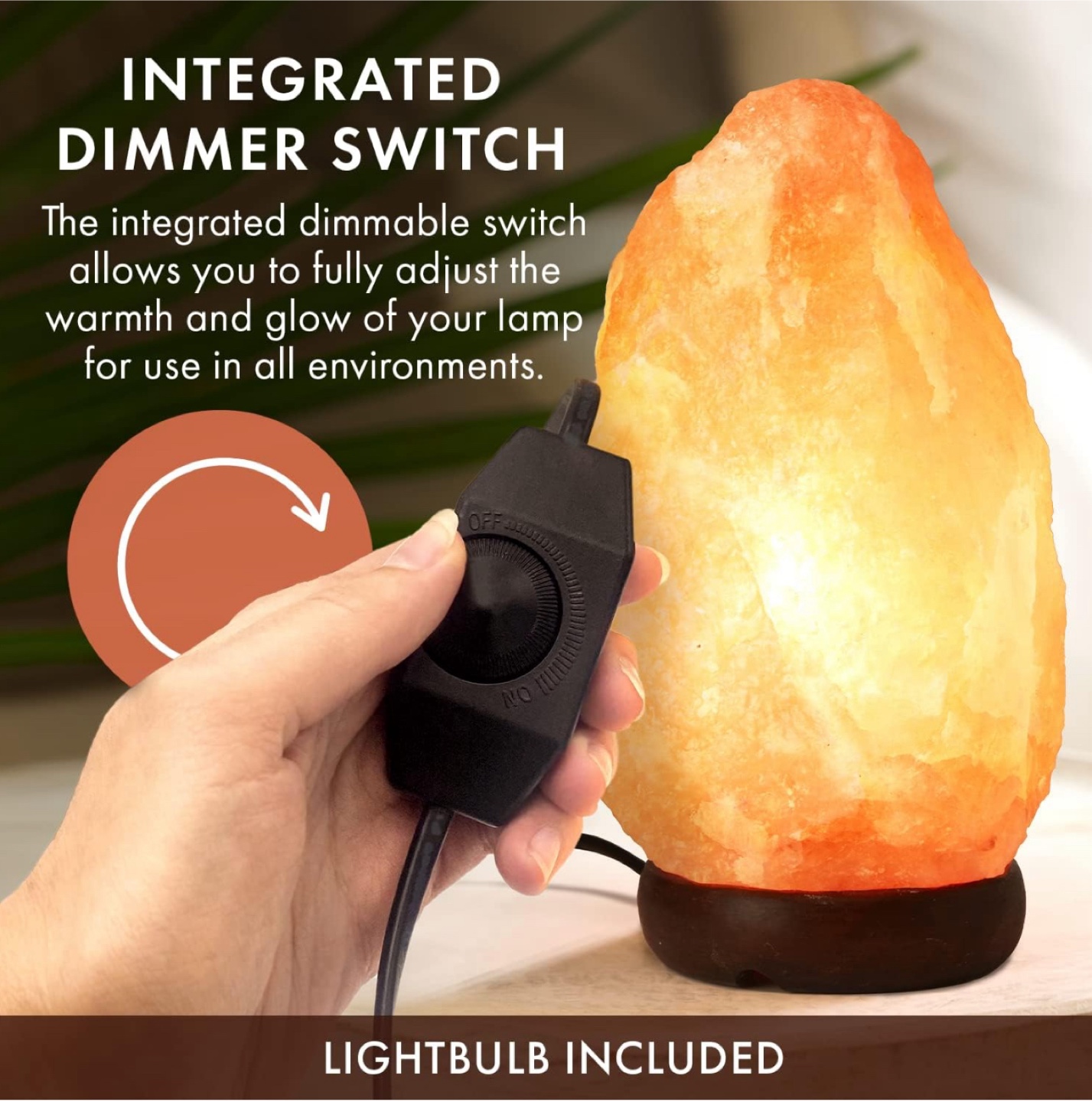 BRAND NEW! Extra Large Himalayan Salt Lamp - photo 4