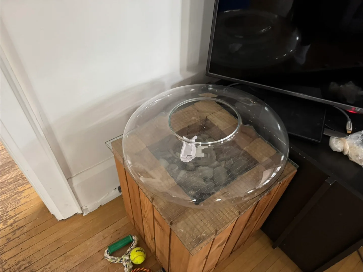 Large vase/ glass decor piece thumbnail