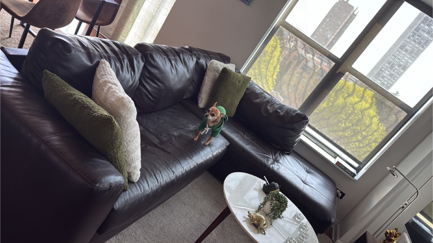 Brown Leather Couch with Pillows