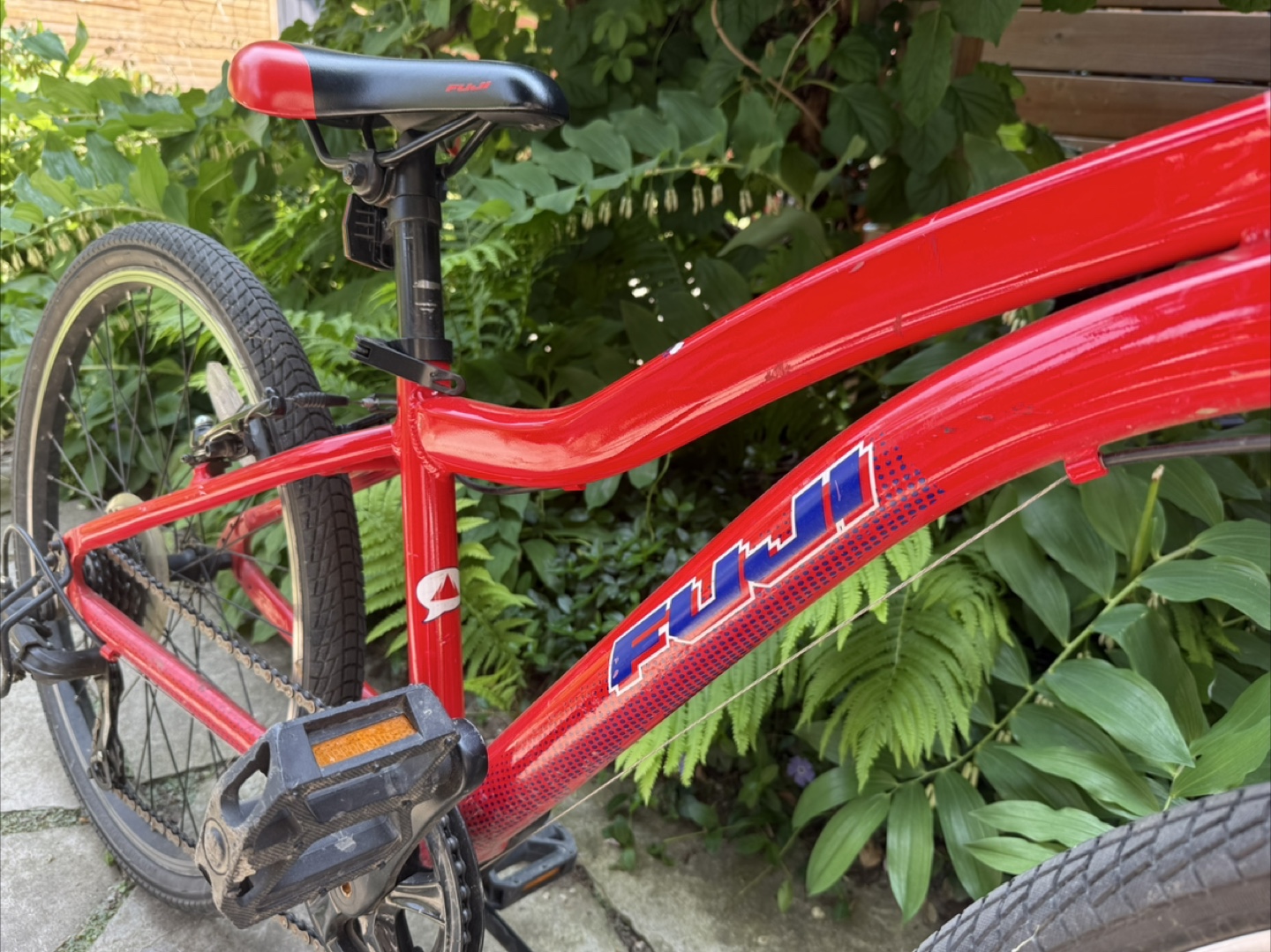 Fuji kid’s mountain bike (24 inch wheels) - photo 4