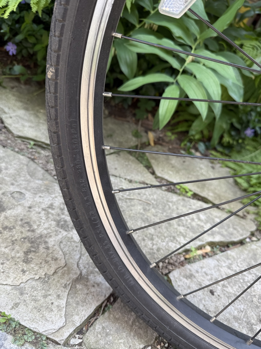 Fuji kid’s mountain bike (24 inch wheels) - photo 2