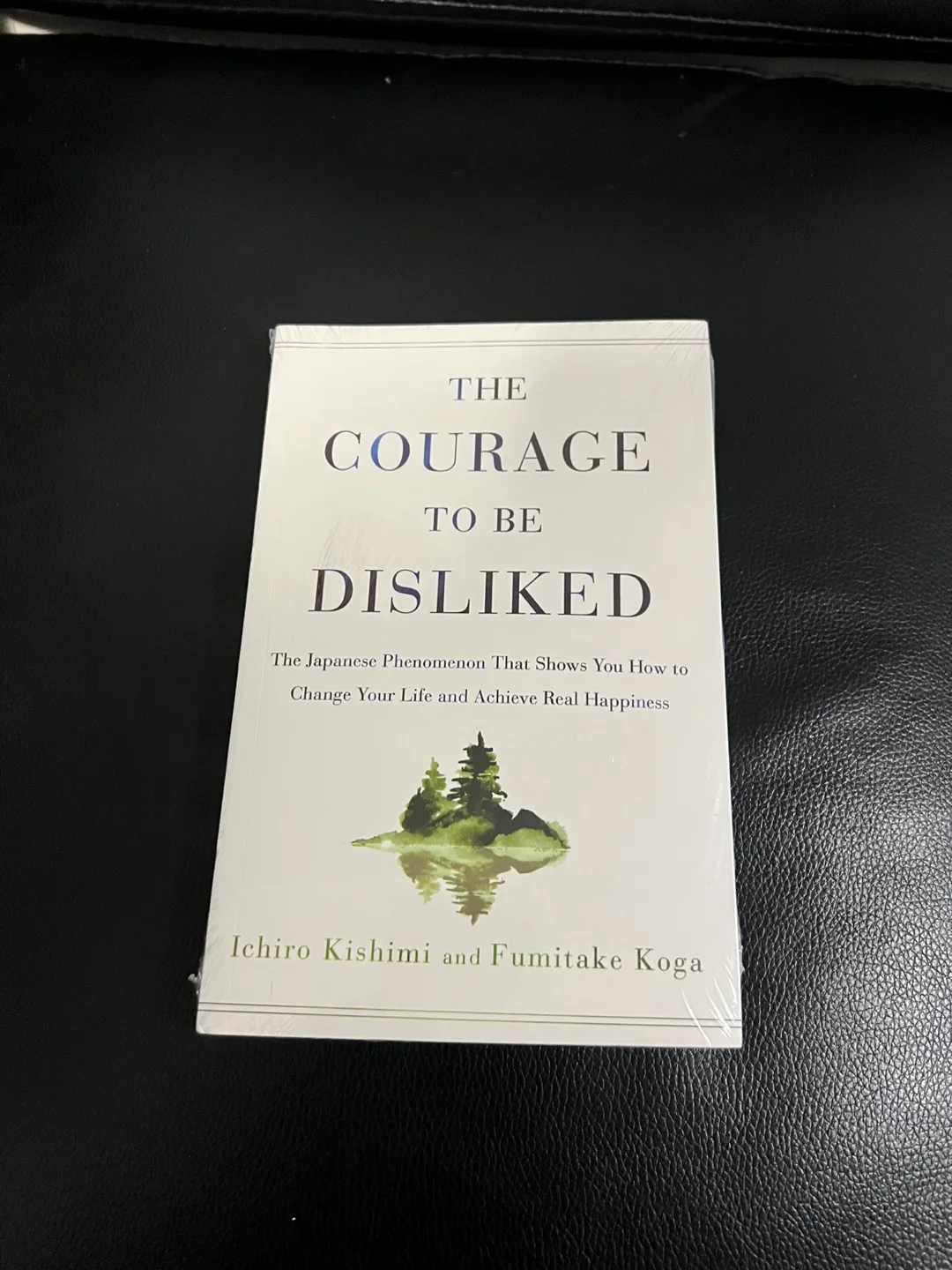 The Courage to be Disliked Book thumbnail