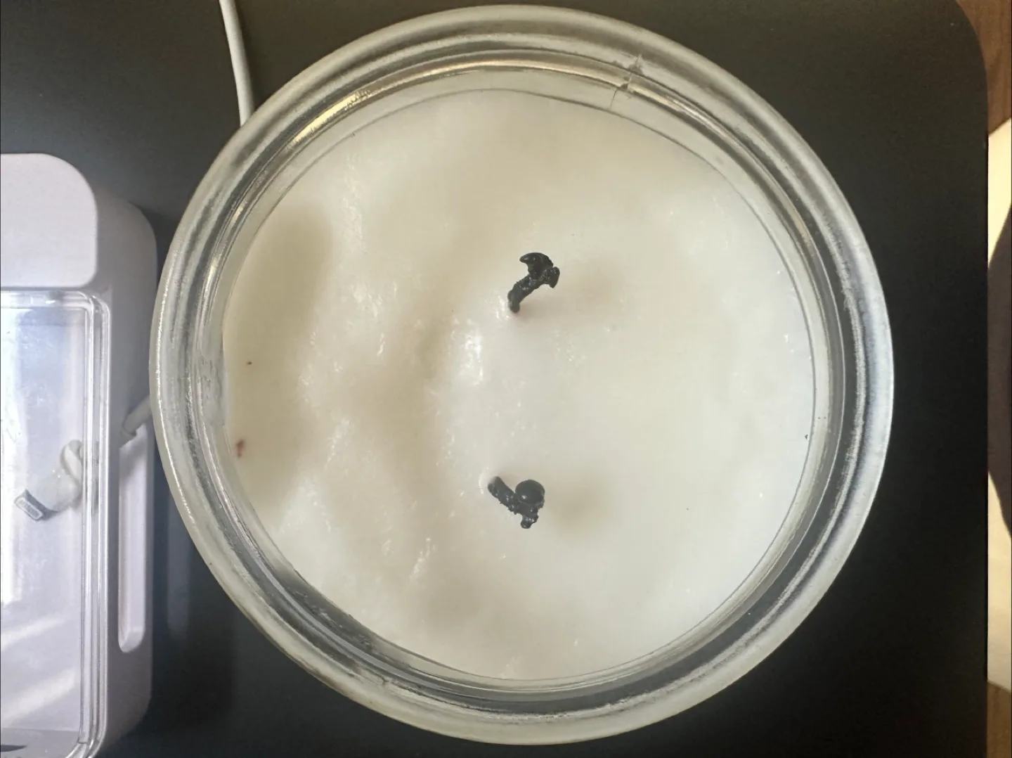 Clean The Wild Kind Candle image indicator(2)