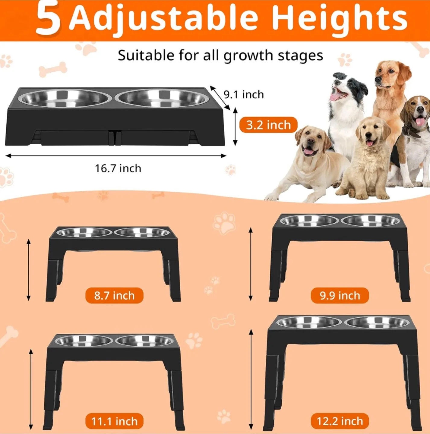 Elevated Dog Food Bowl with Adjustable Heights thumbnail