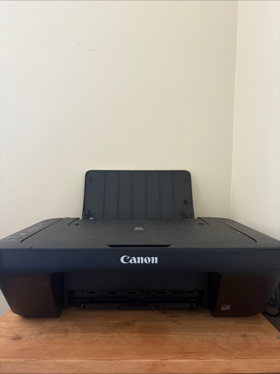 Canon Pixma MG2525 Printer - photo 2