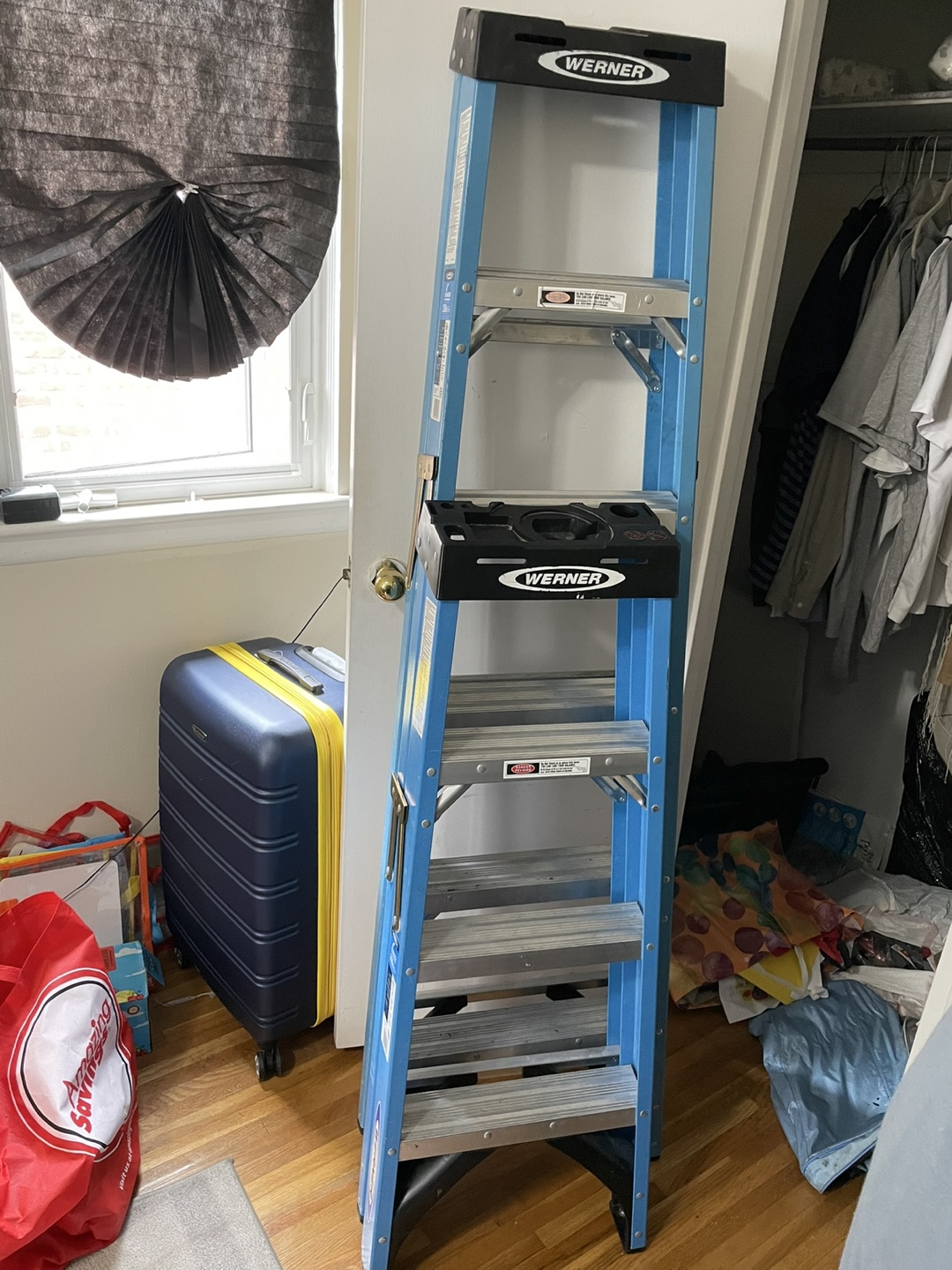 Werner 4ft and 6ft Ladders