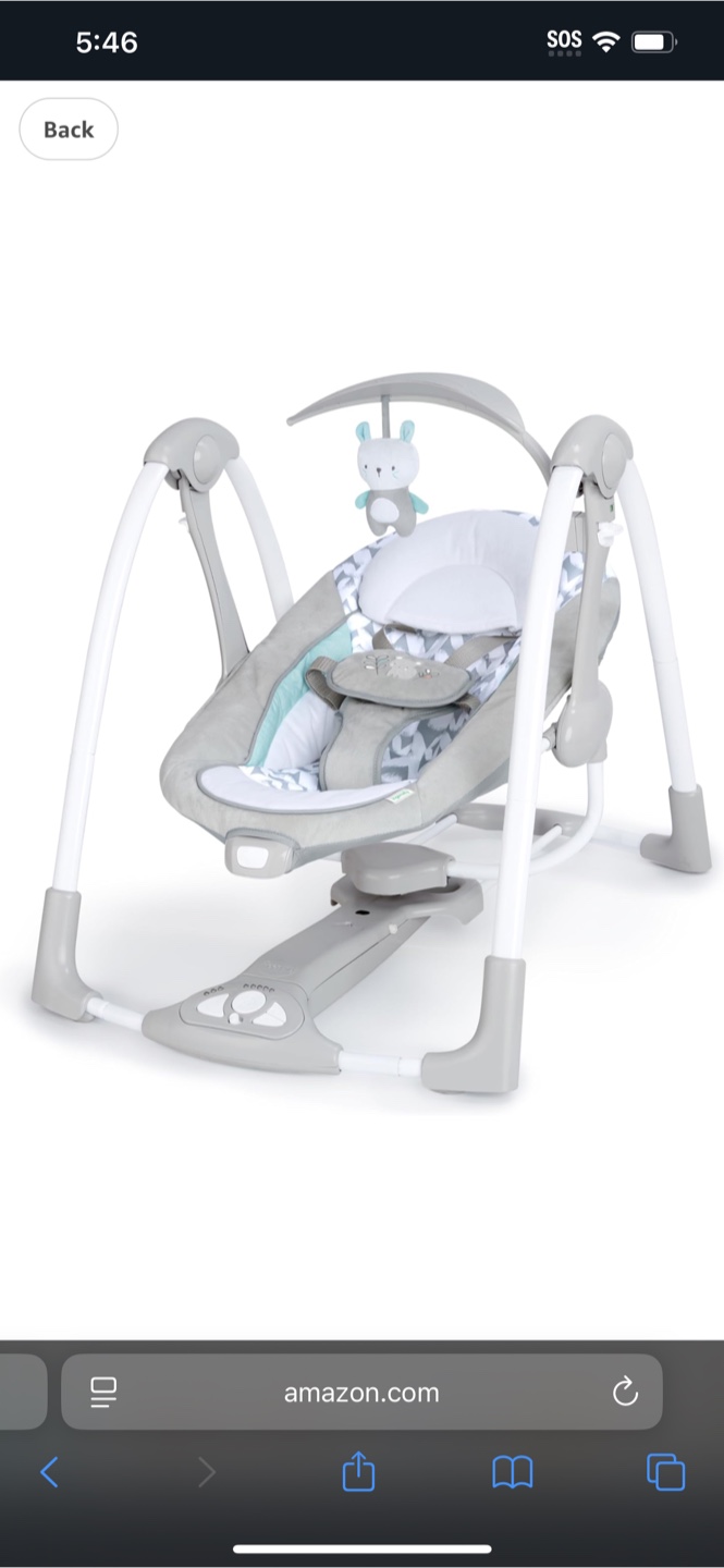 Ingenuity Baby Swing