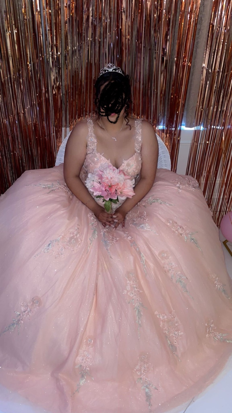 Pink Formal Ball Gown for sweet 16 or quinceañera - photo 5