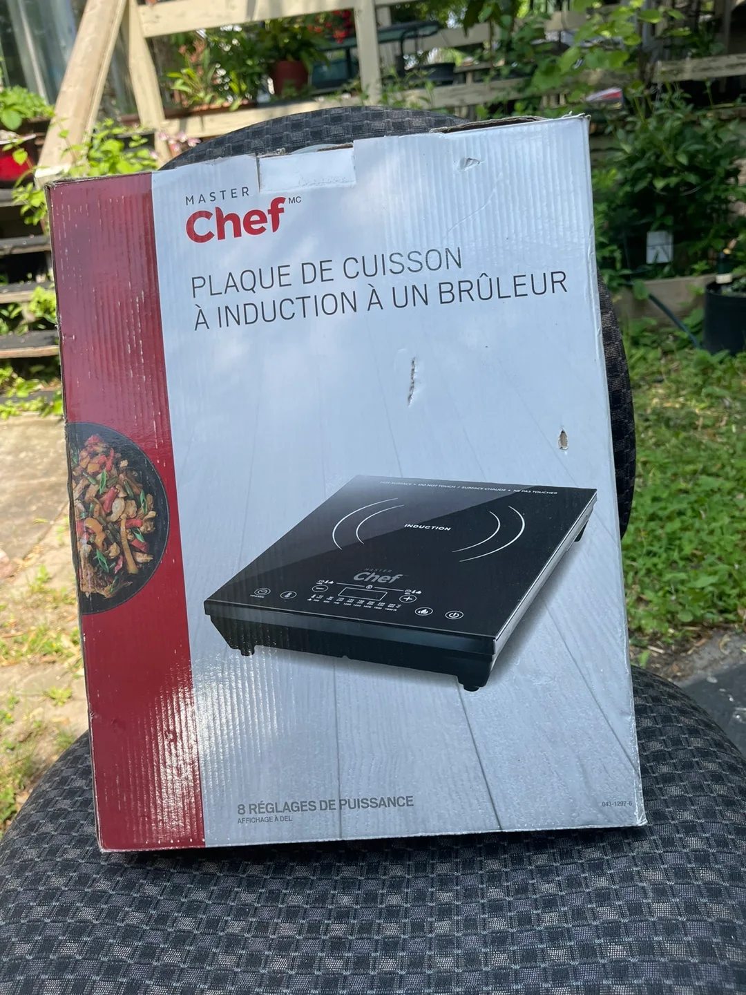 Master Chef Induction Cooktop image indicator(4)
