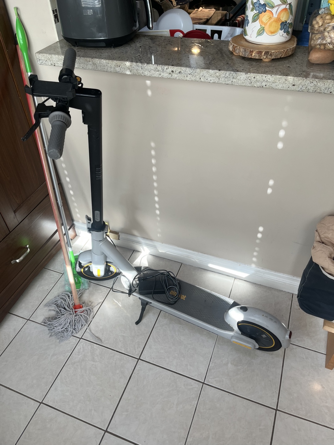 Ninebot Electric Scooter