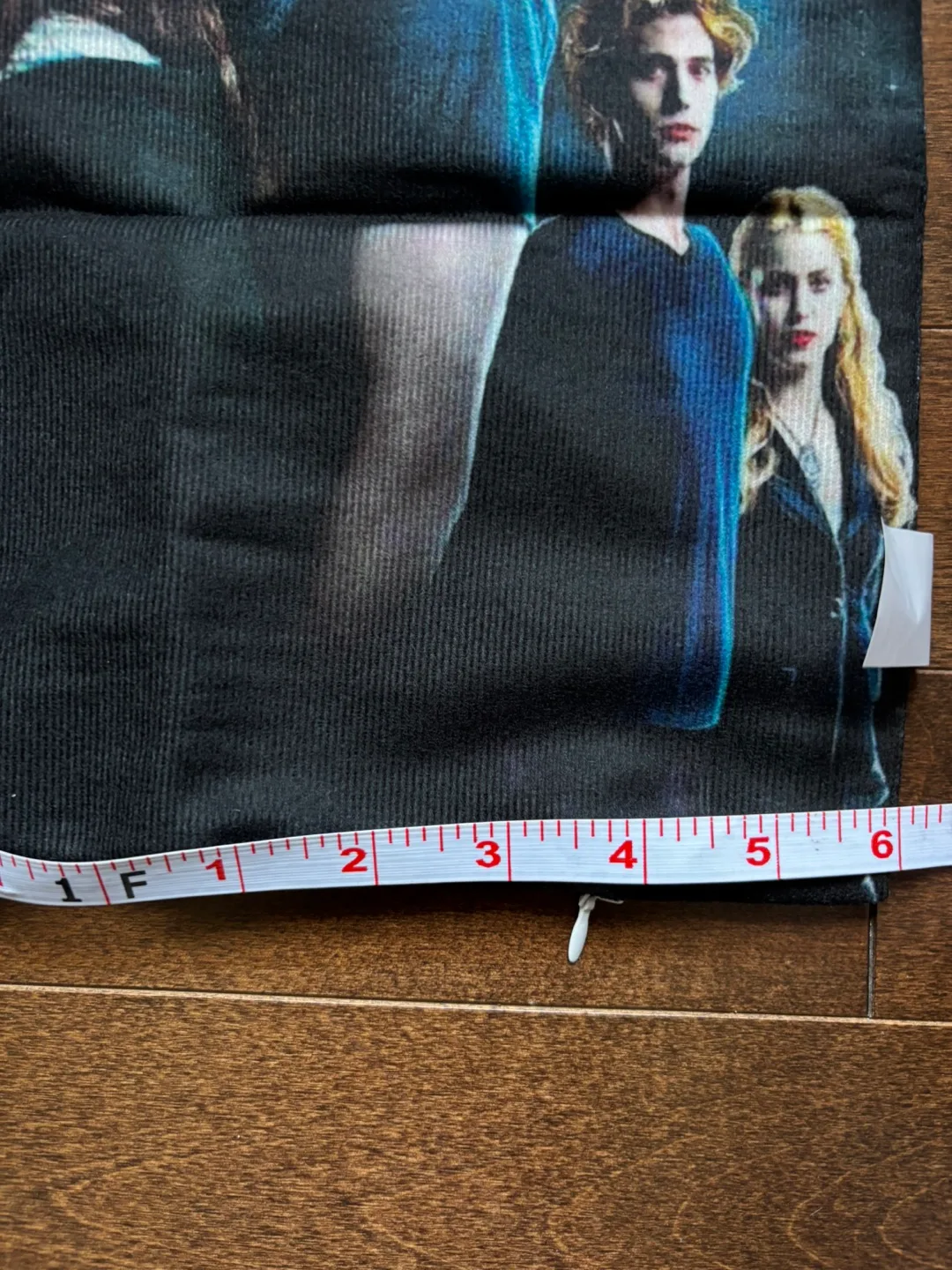 Twilight Movie Pillowcase image indicator(2)