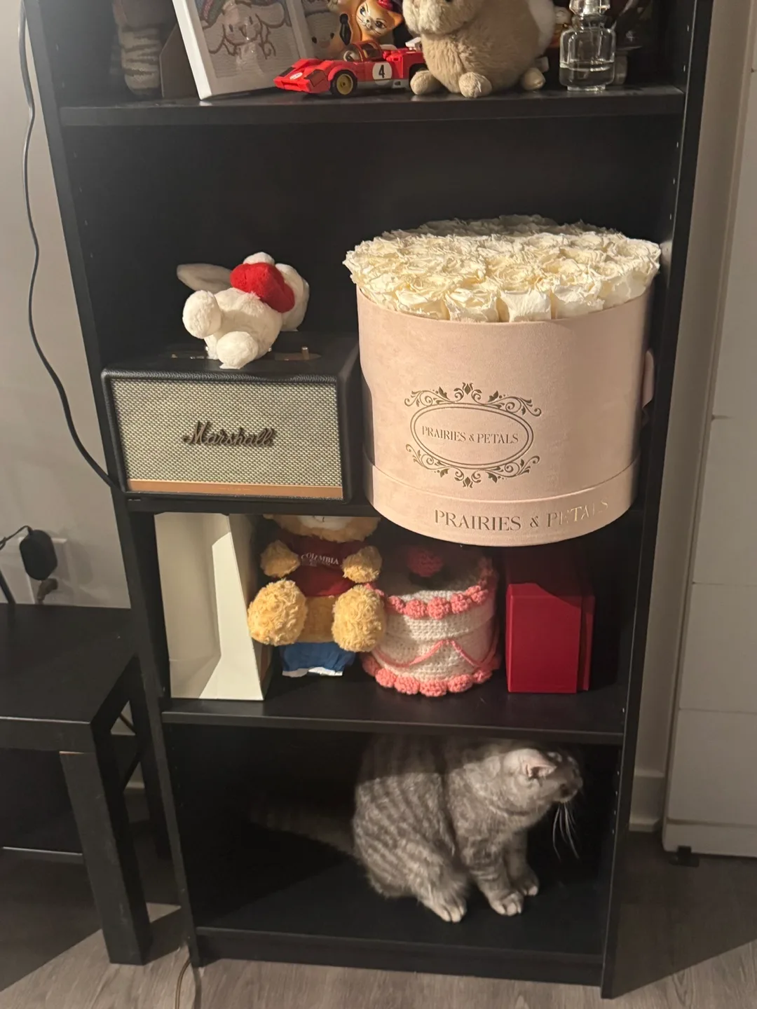 Black Bookshelf (Flexible on price) image indicator(3)