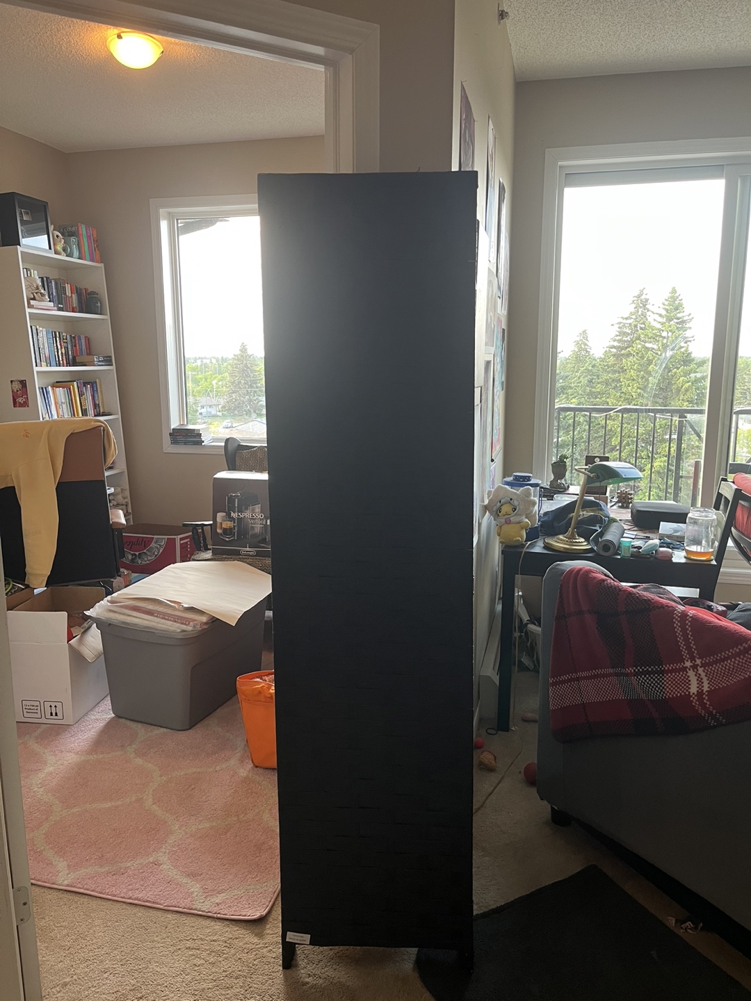 6 Ft Room Divider/Privacy Screen