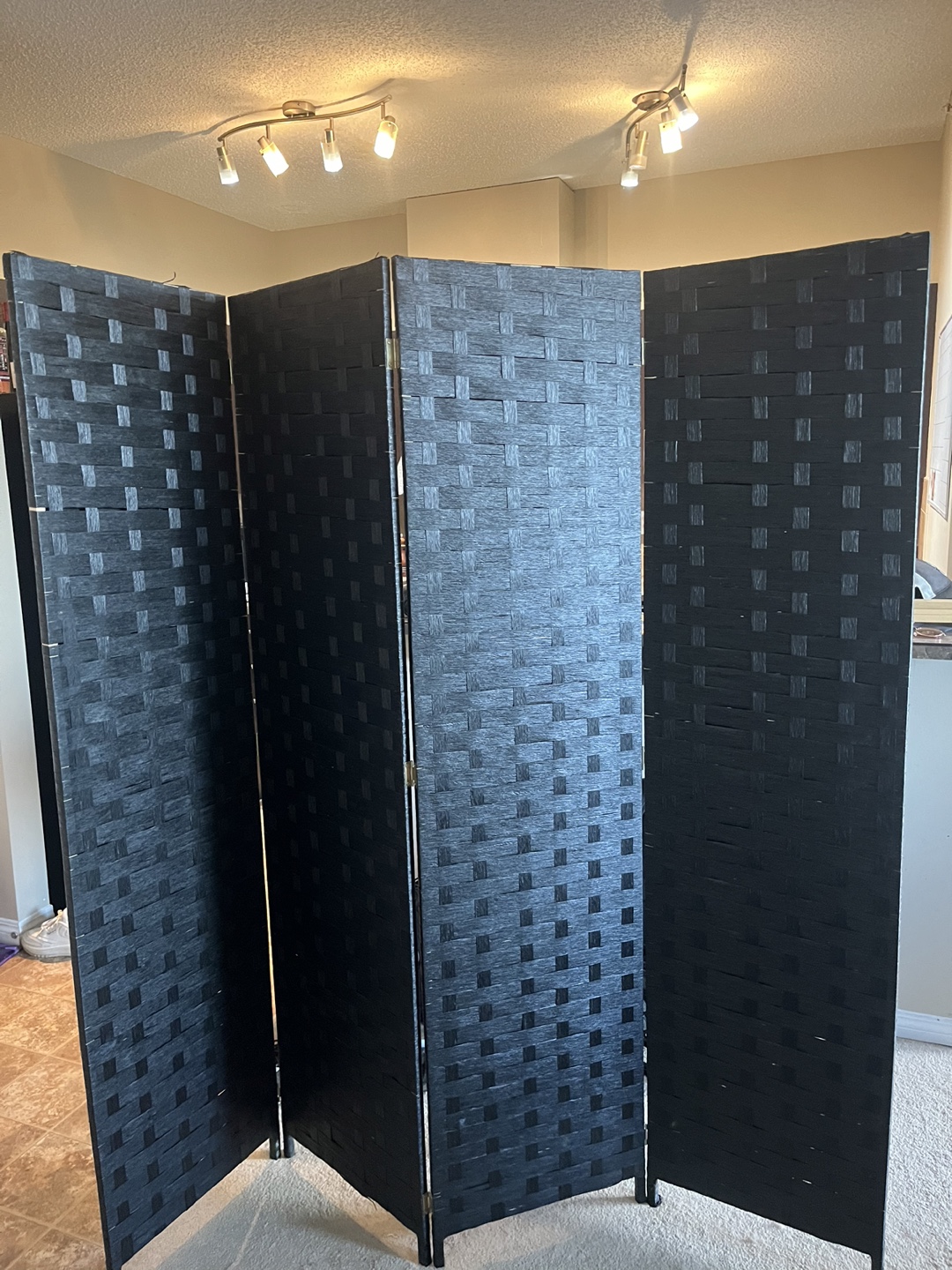 6 Ft Room Divider/Privacy Screen - photo 2