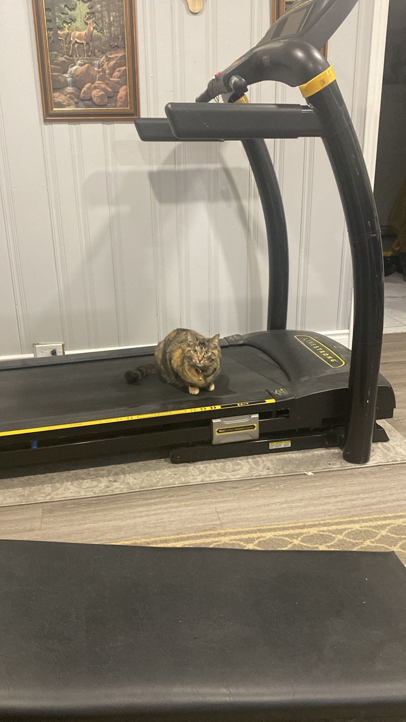 Livestrong Treadmill