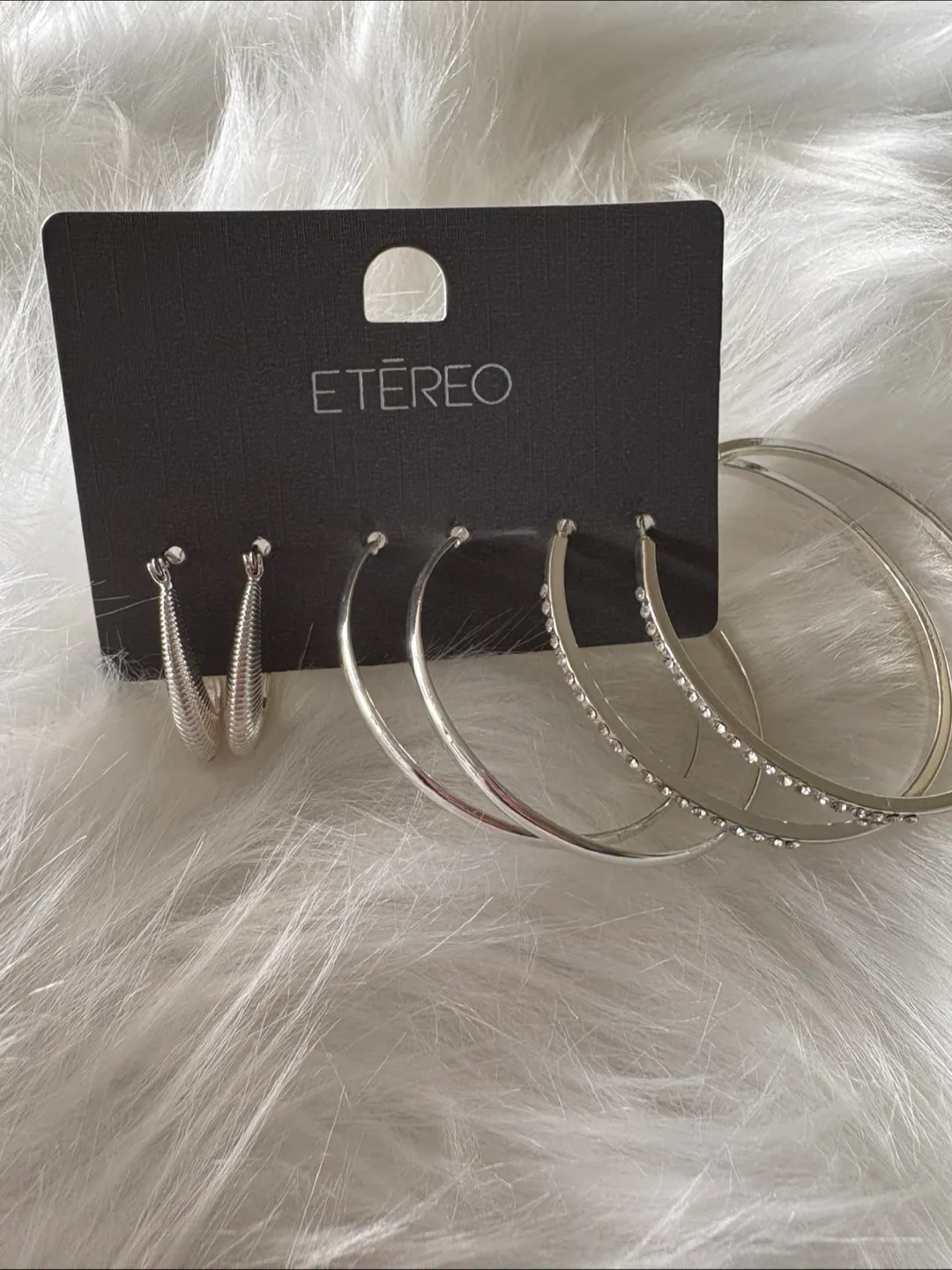 ETĒREO Silver Hoop Earring Set image indicator(2)