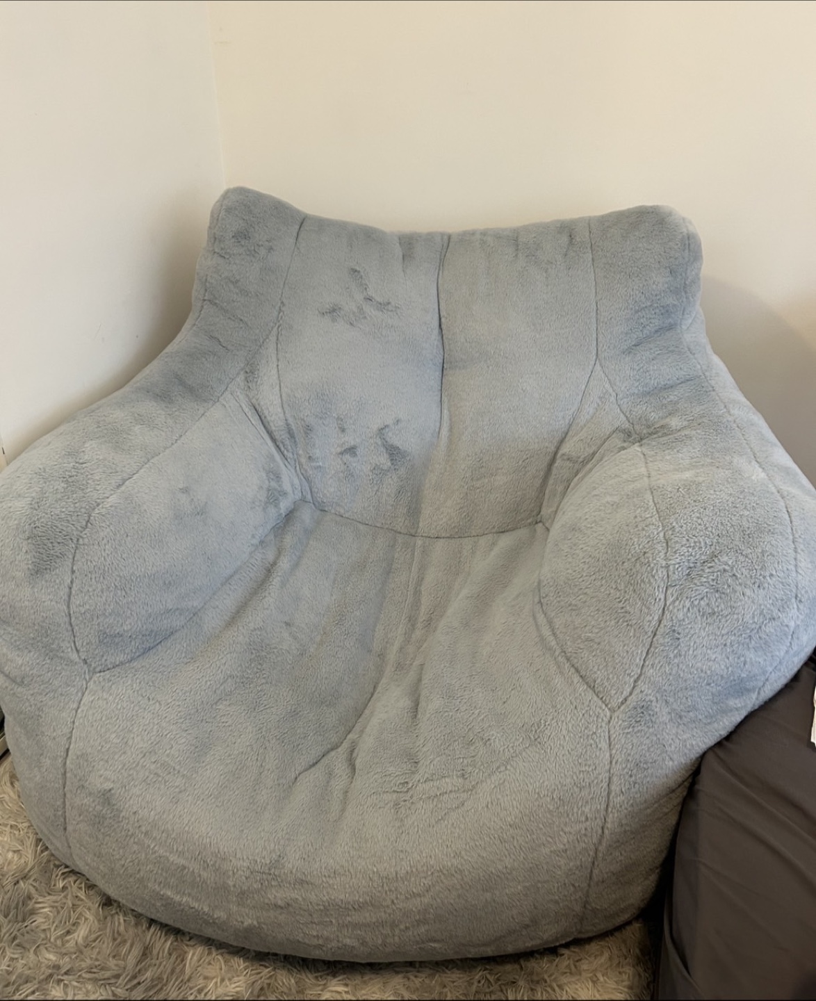 Comfy Bean Bag Chair