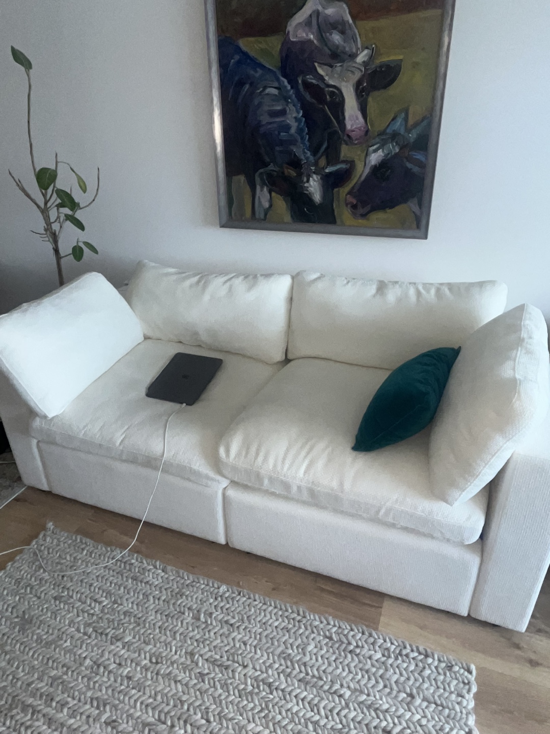 Cozy Couch - Cielio Collection - photo 4