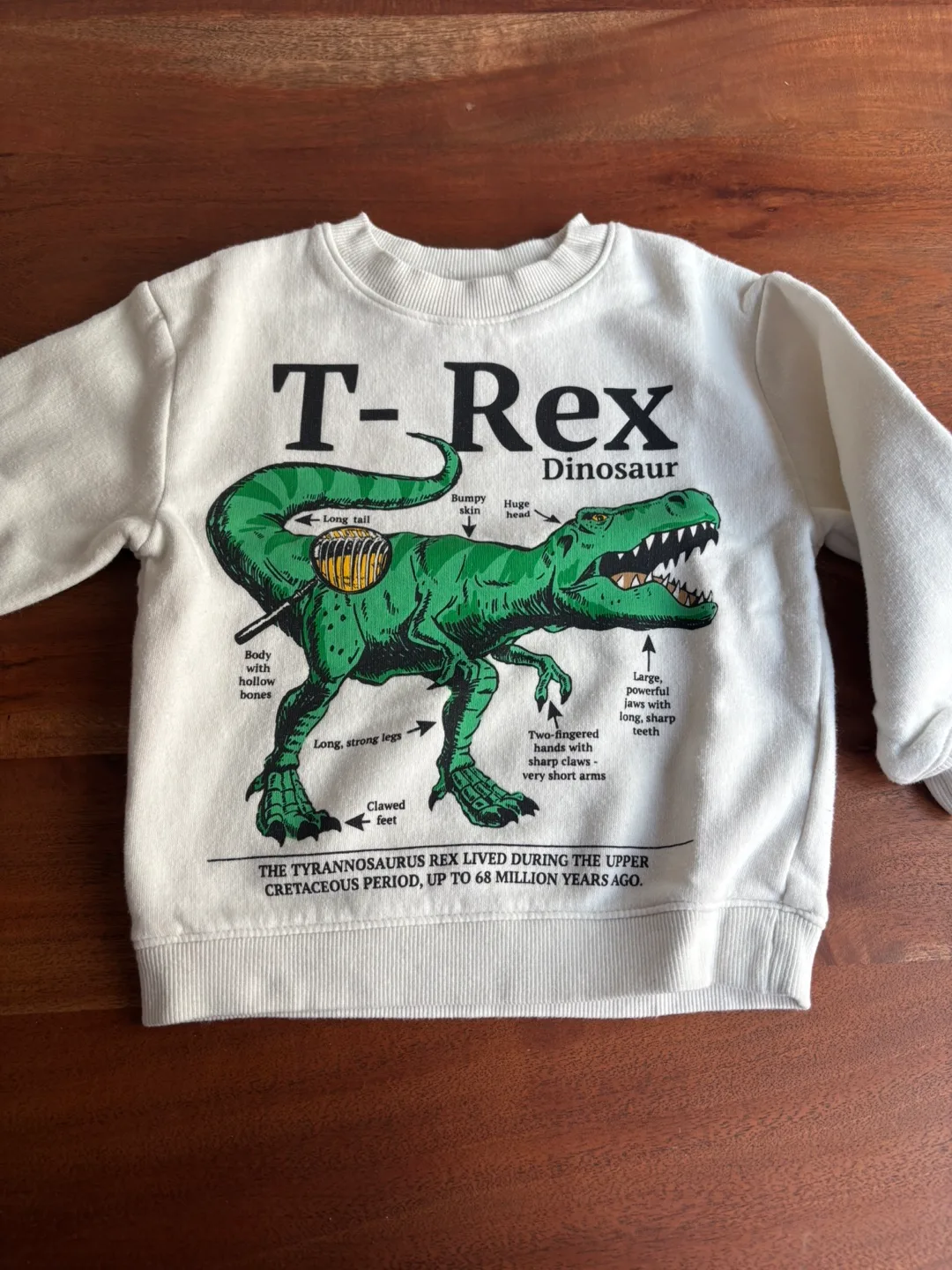 H&M T-Rex Dinosaur Sweatshirt, Size 2T thumbnail