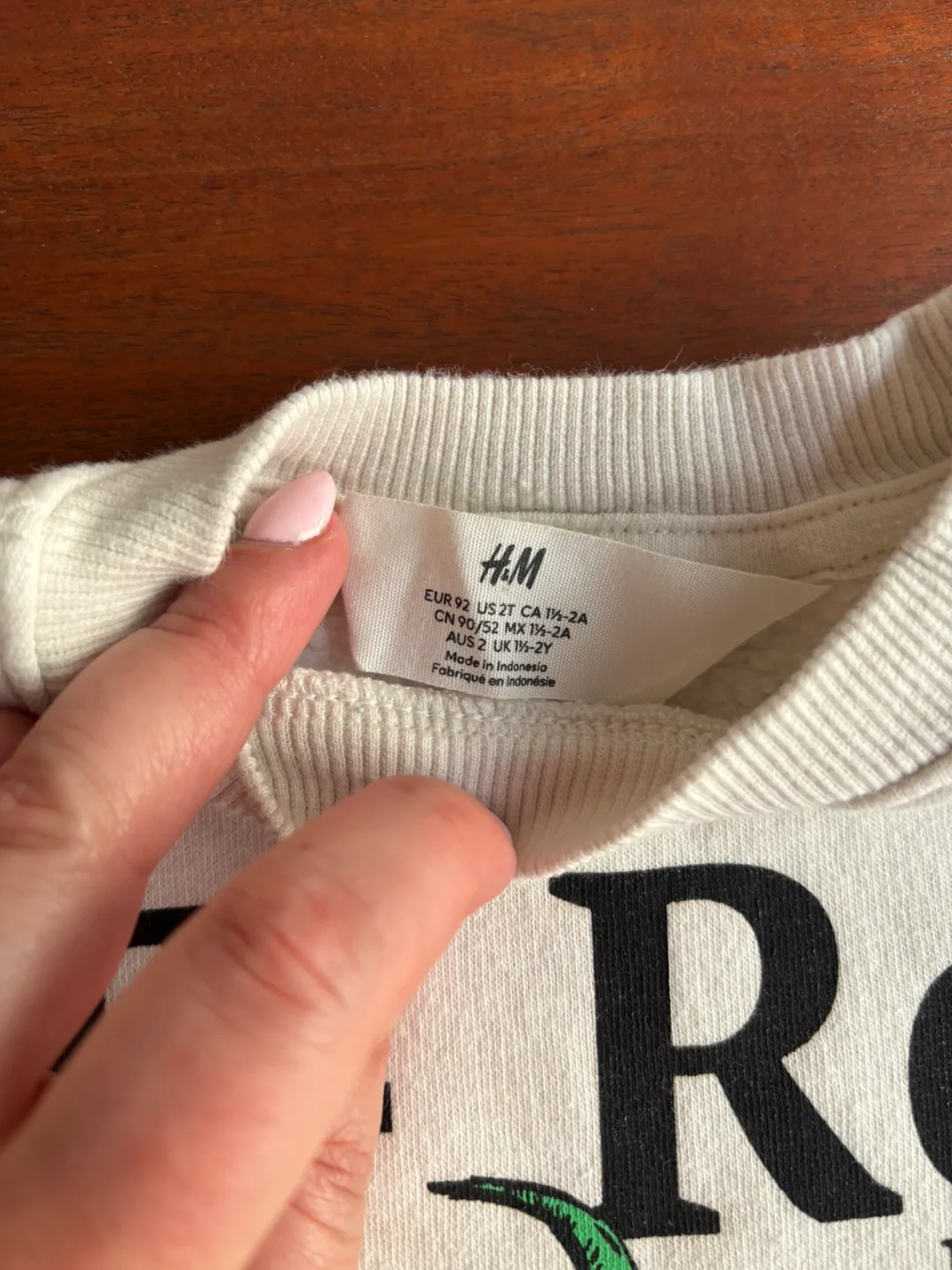 H&M T-Rex Dinosaur Sweatshirt, Size 2T image indicator(2)