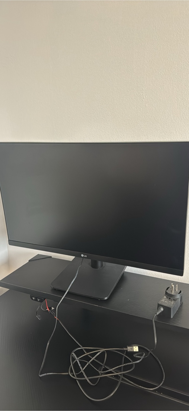 LG Monitor