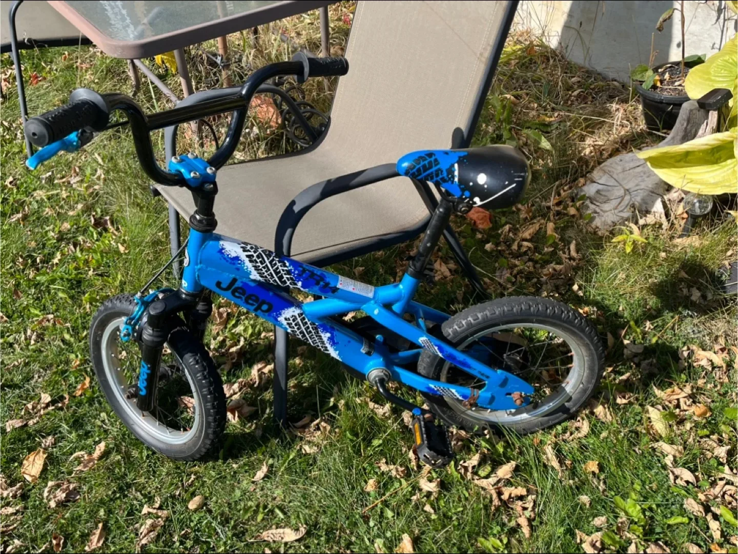 Blue Bike Jeep image indicator(2)