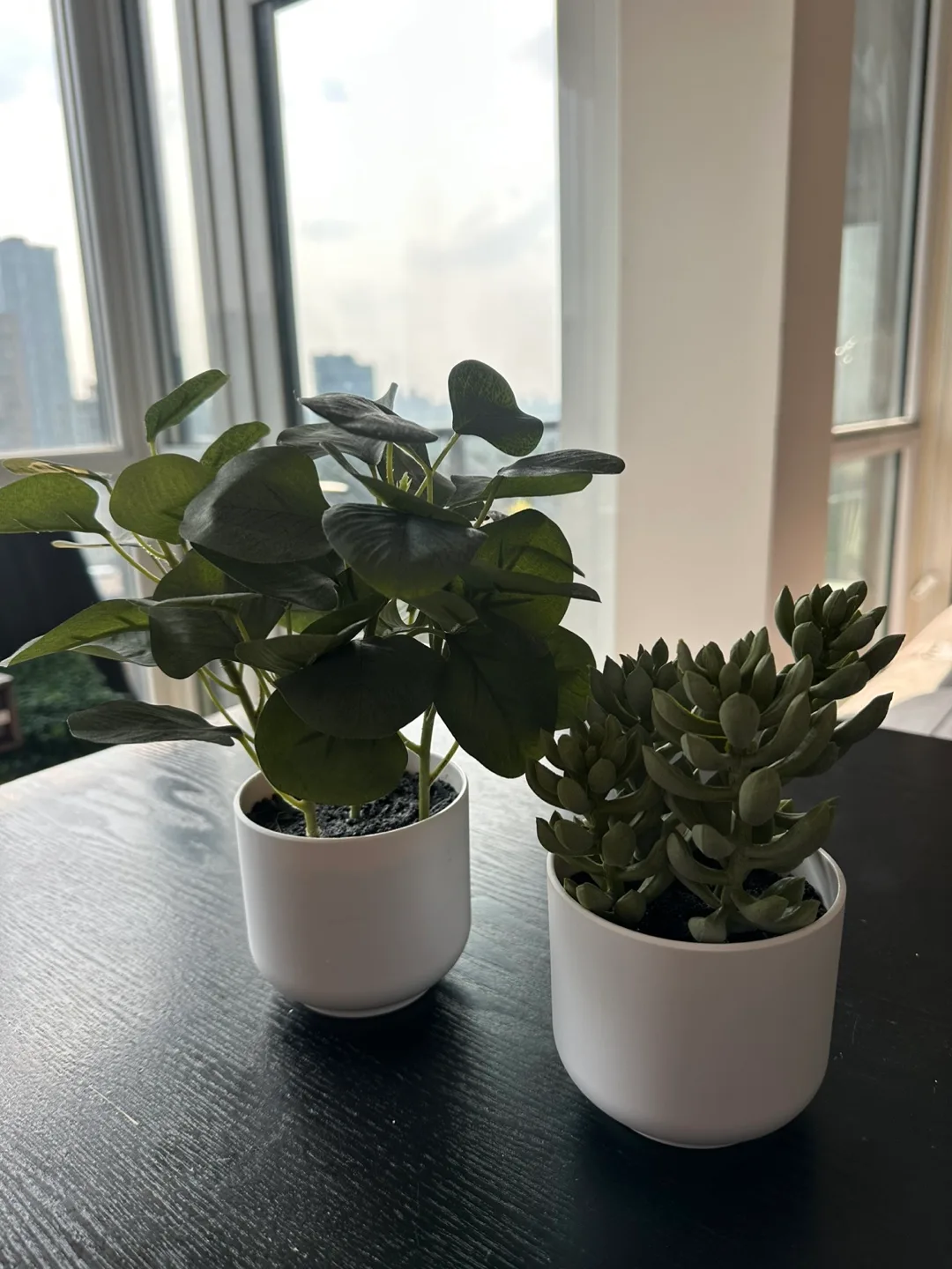 Faux Potted Plants thumbnail