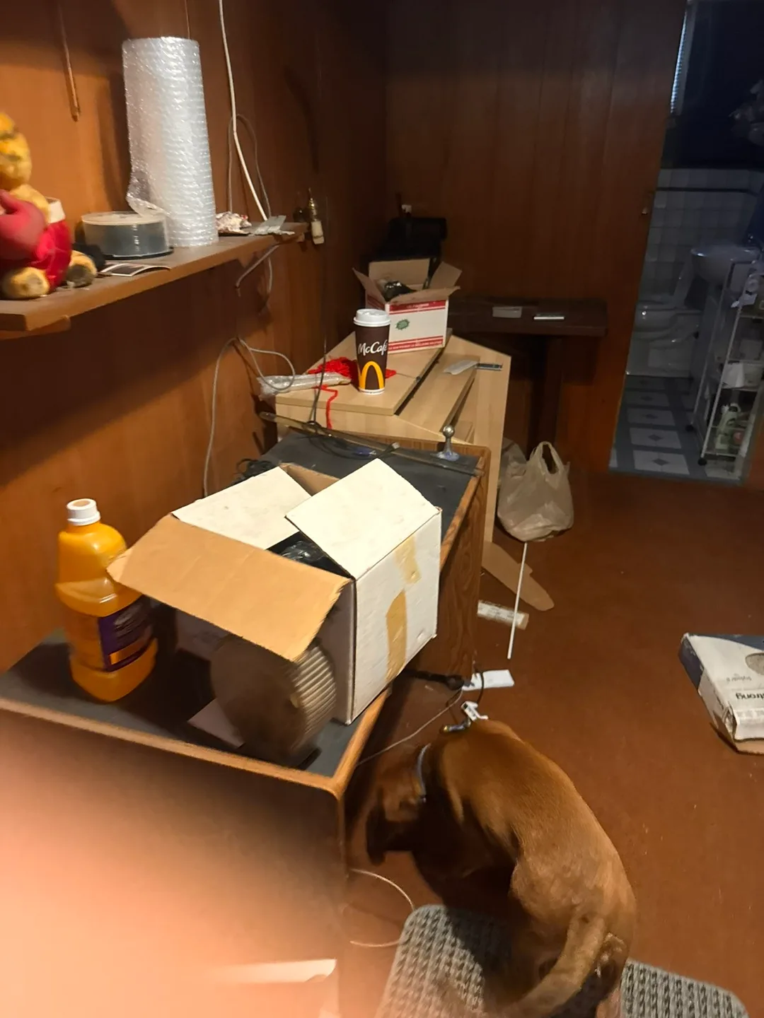 Estate Clearance (everything FREE) image indicator(5)