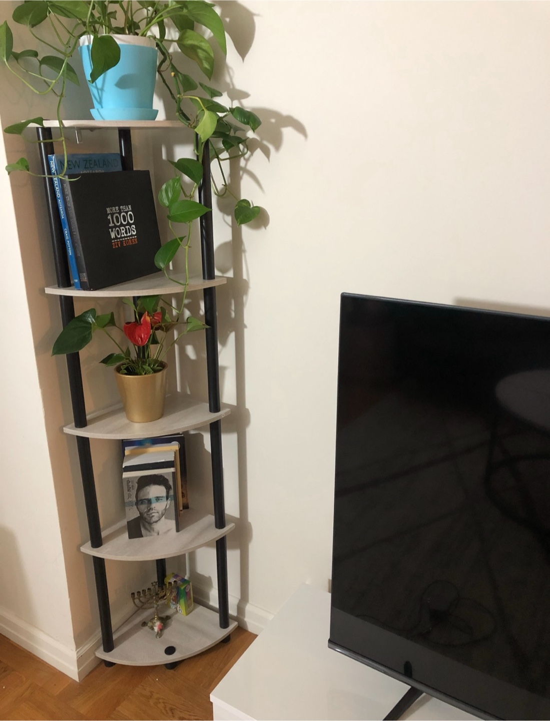 Corner Shelf Unit