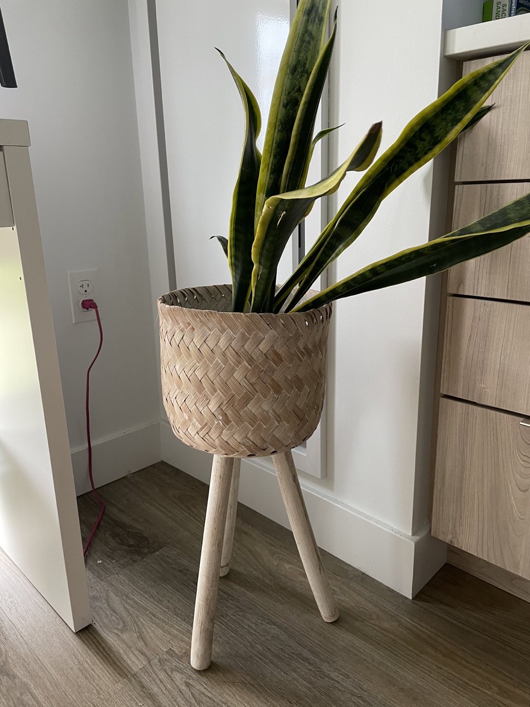 Woven Plant Stand