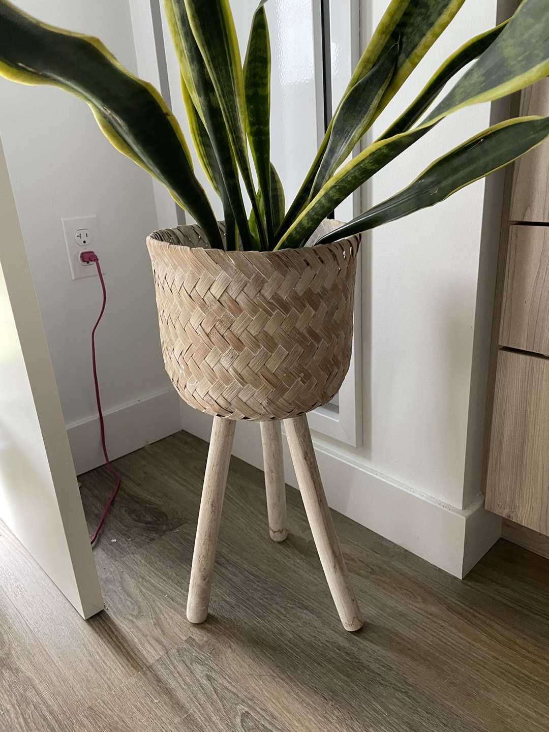 Woven Plant Stand - photo 2