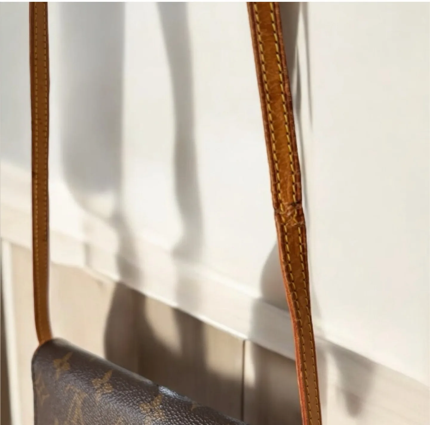 Authentic Louis Vuitton Pochette Twin bag image indicator(4)