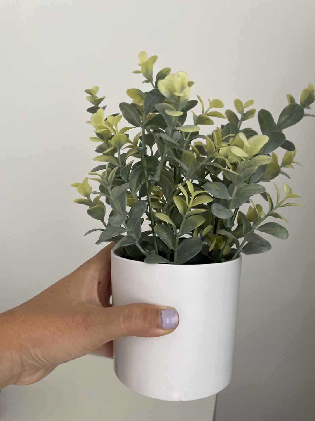 Artificial Plant in White Pot - photo 2
