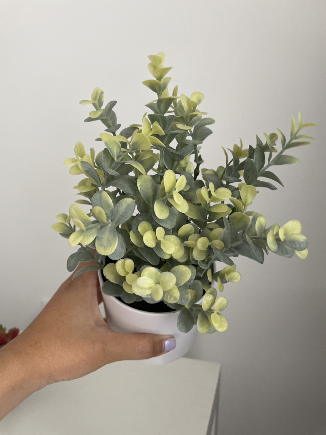 Artificial Plant in White Pot - photo 3