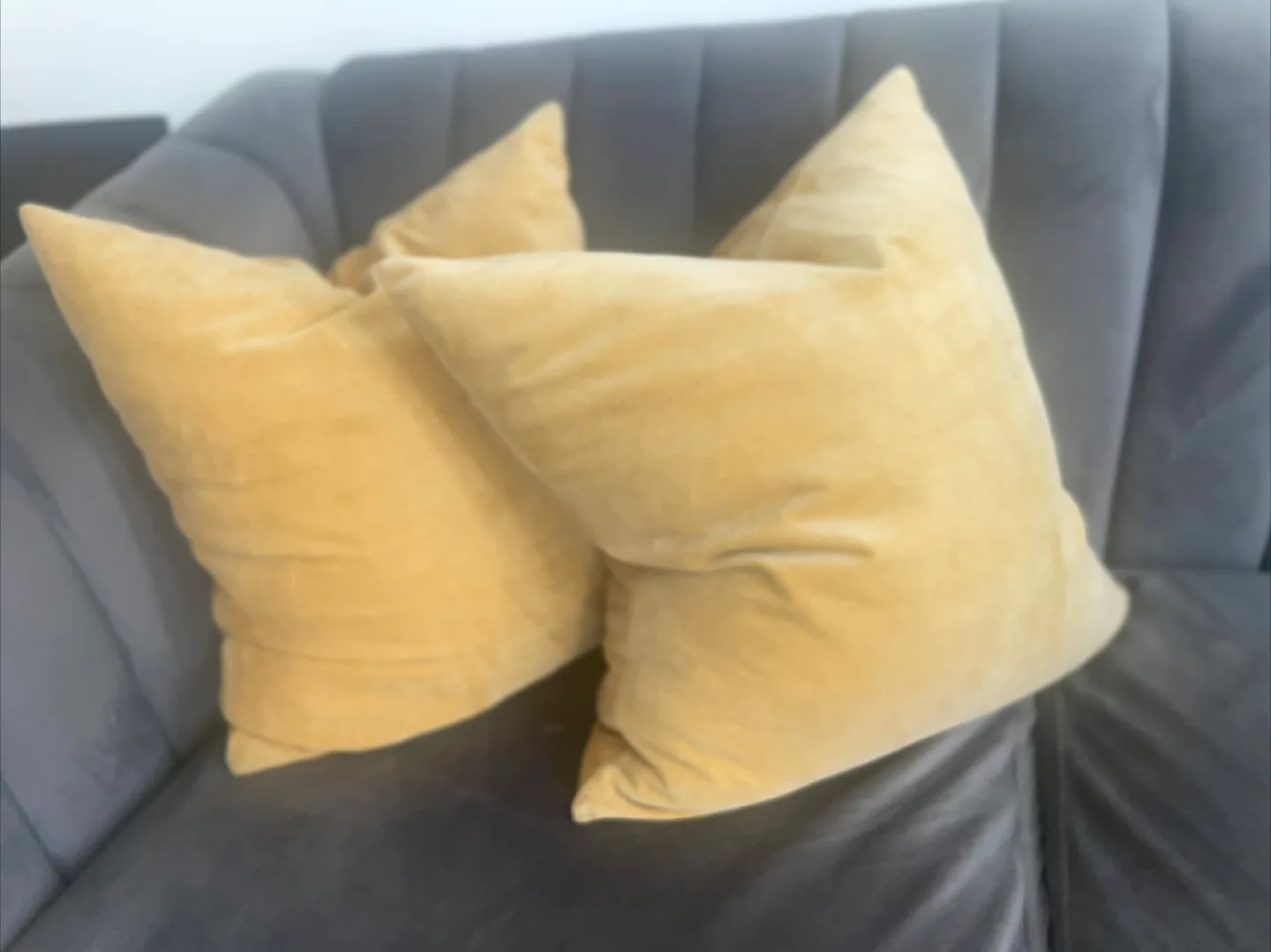 Set of Two Velvet Pillows thumbnail