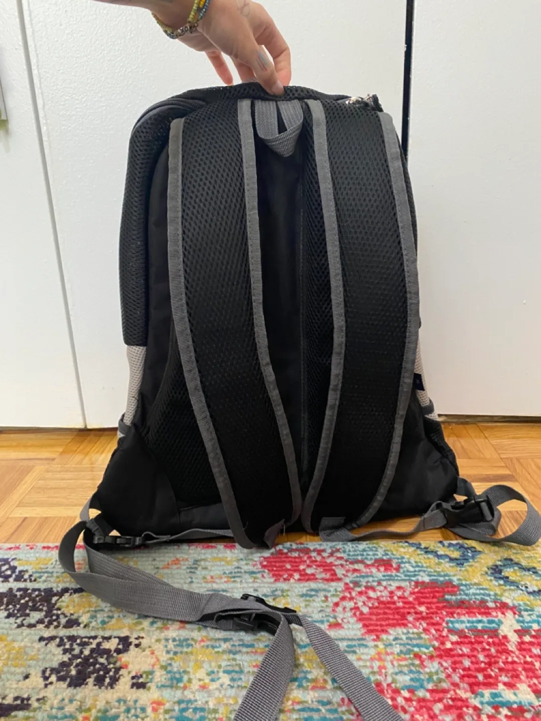 Pet carrier backpack - XL image indicator(5)