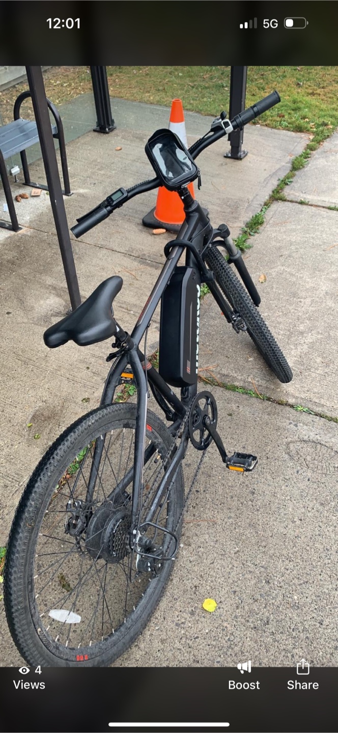 Electric Bike - photo 2