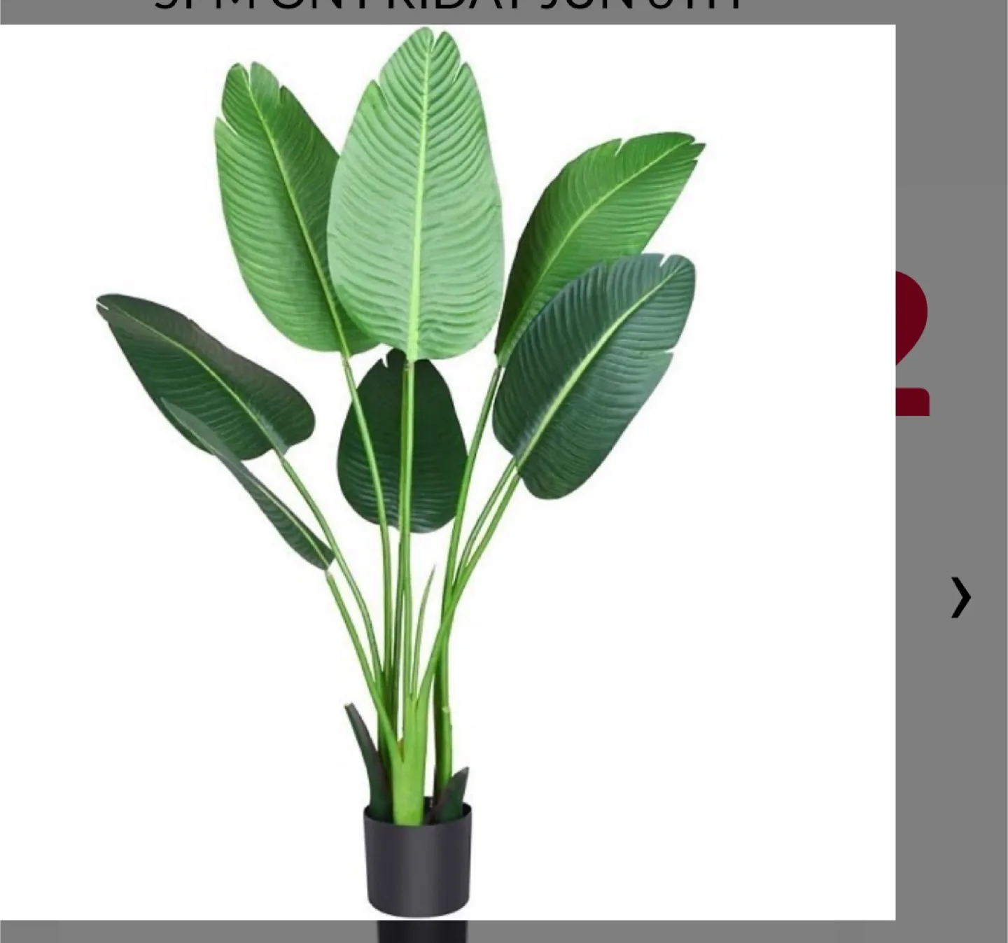 Brand new Artificial Plant thumbnail