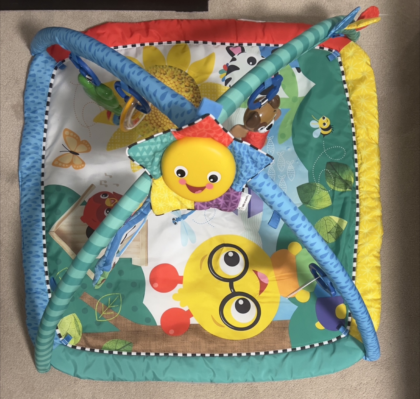 Baby Einstein Caterpillar and Friends Play Gym