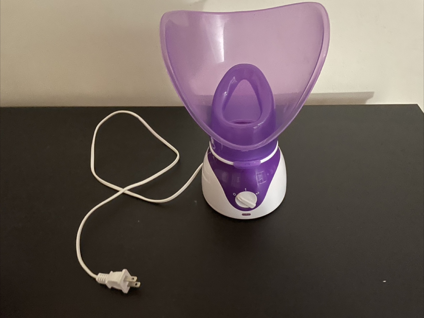 Facial Steamer