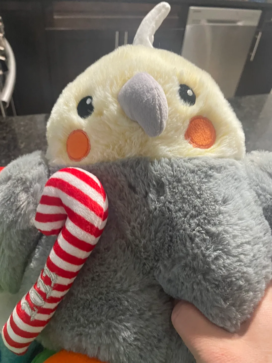 Bundle of pet toys image indicator(5)