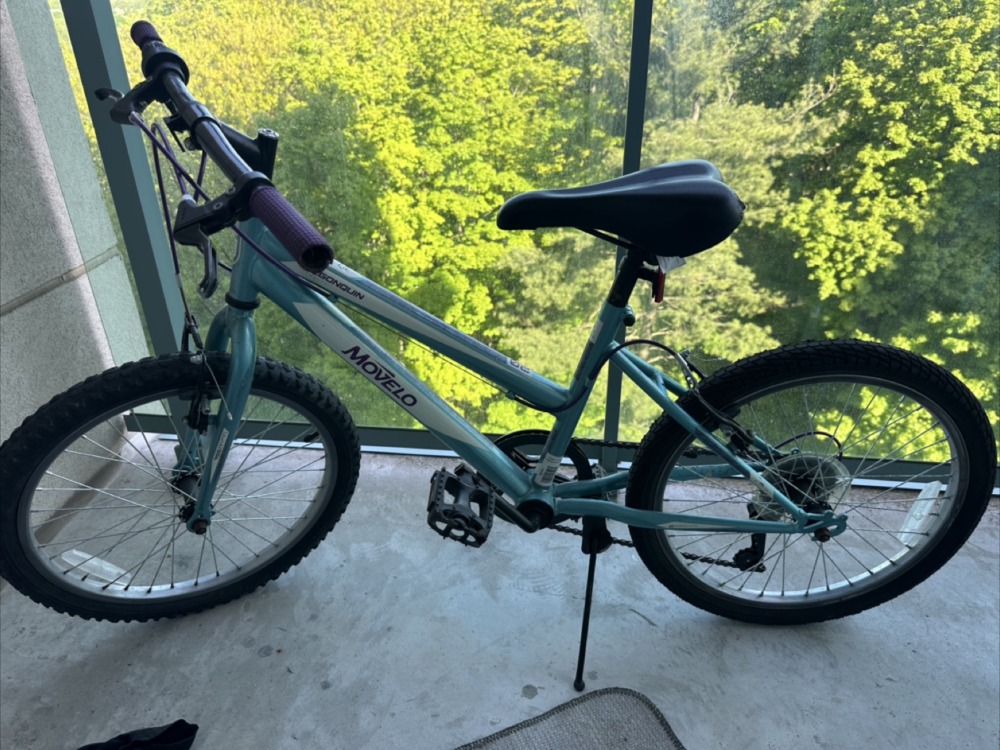 Movelo Algonquin Bicycle - photo 3
